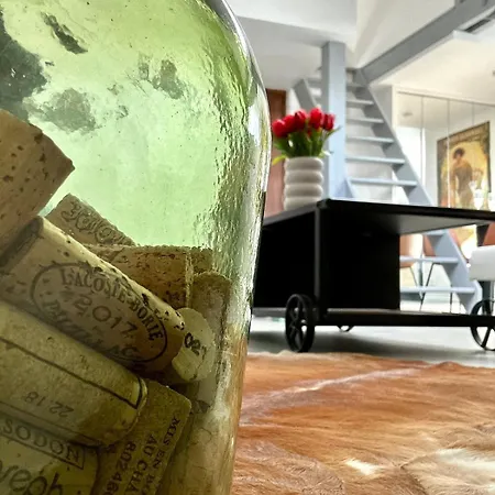 Apartament Vesle Lumineux En Hyper Centre De *