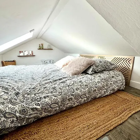 Vesle Lumineux En Hyper Centre De Reims