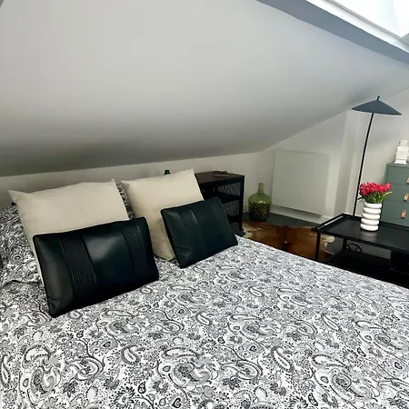 Vesle Lumineux En Hyper Centre De Reims