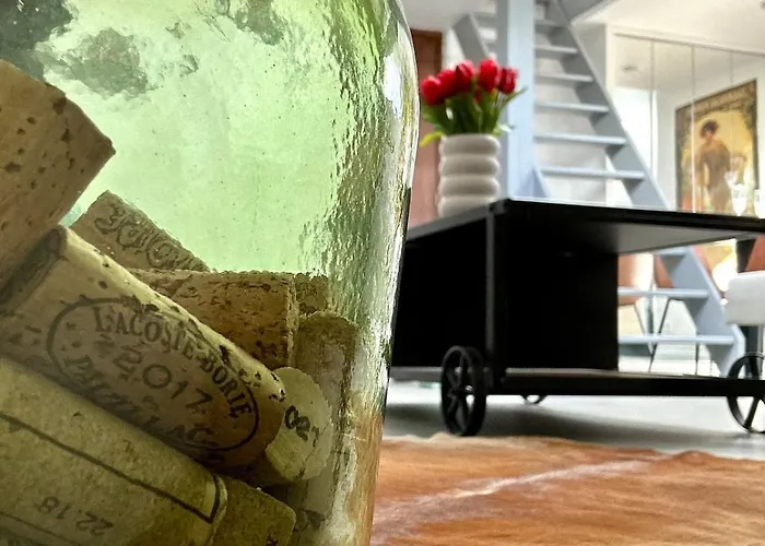 公寓 Vesle Lumineux En Hyper Centre De *