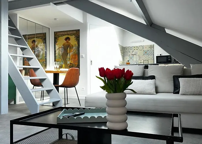 公寓 Vesle Lumineux En Hyper Centre De 兰斯